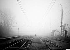 Помогите следствию