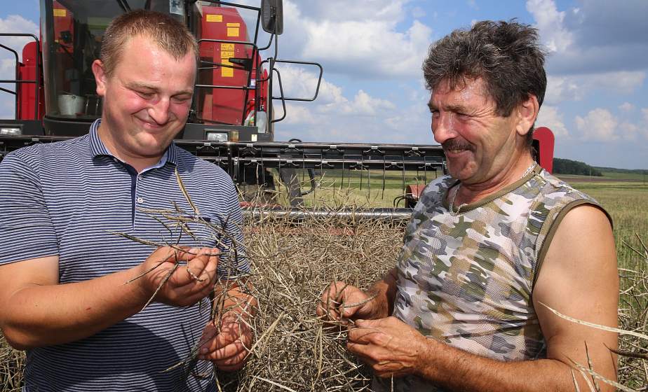 В Лидском районе продолжается уборка озимого рапса