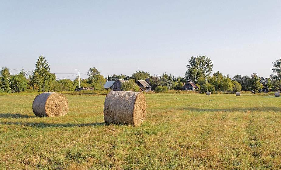 Лето в народных традициях и обрядах