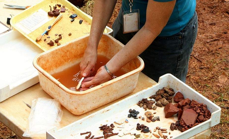 Окаменелости юрских рыб и кальмаров нашли на ферме в Англии