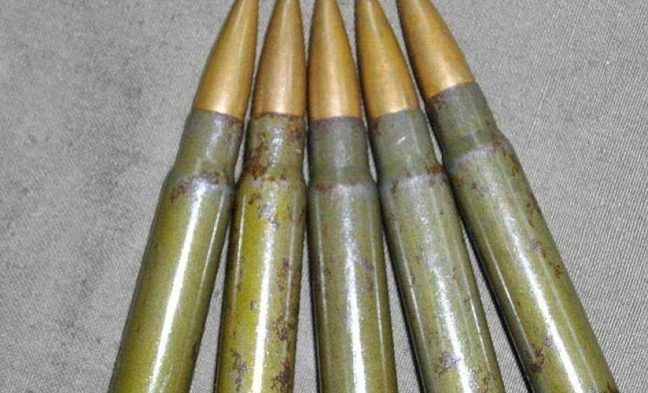 Житель Гродненского района на своем участке нашел 30 патронов