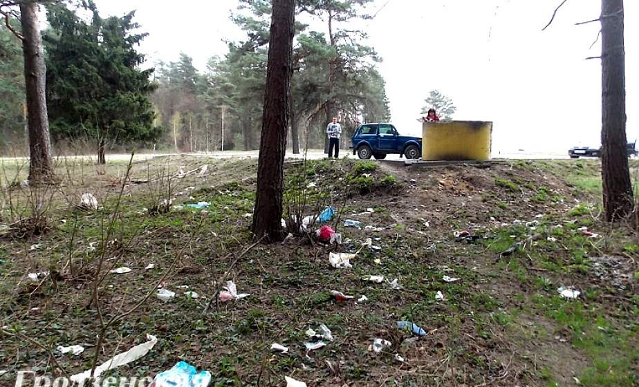Придорожные полосы после зимы в некоторых районах области завалены мусором