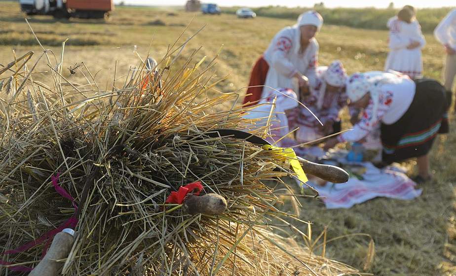 "Дажынкі" ў абрадах і традыцыях беларусаў
