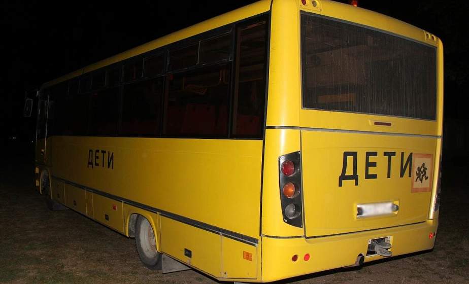 Под Дятлово мужчина под действием алкогольного опьянения "избил" школьный автобус