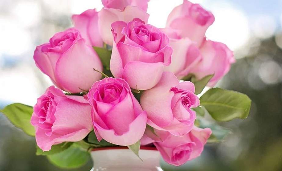 С Днем работников культуры! Поздравление Гродненского областного исполнительного комитета и Гродненского областного Совета депутатов