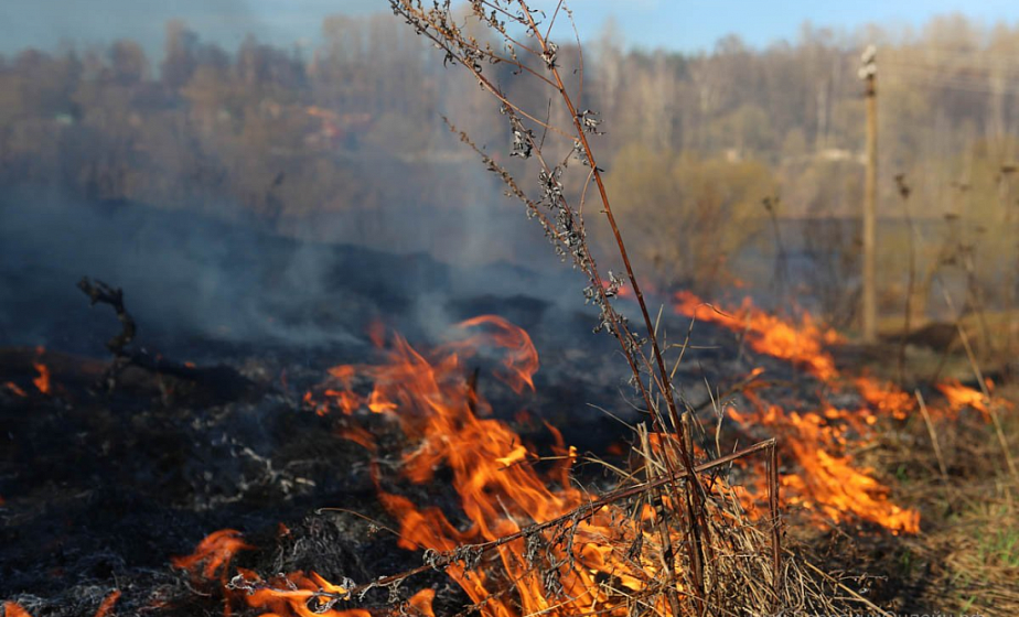 Несмотря на холодную погоду, на Гродненщине участились случаи загорания сухой растительности