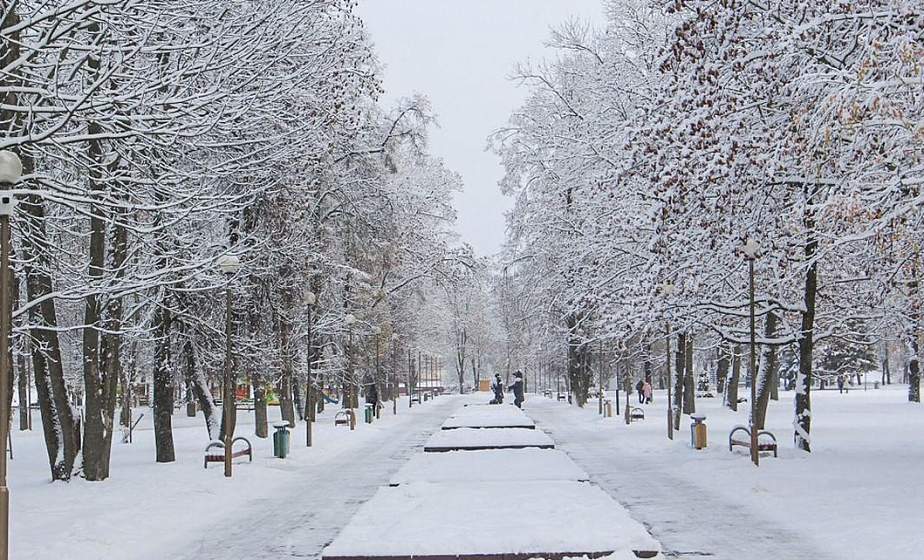 Фотофакт: Очарование зимы в Гродненской области