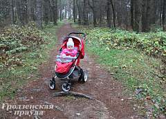 В спальных районах Гродно не хватает скверов. Где в ближайшее время появятся зеленые зоны