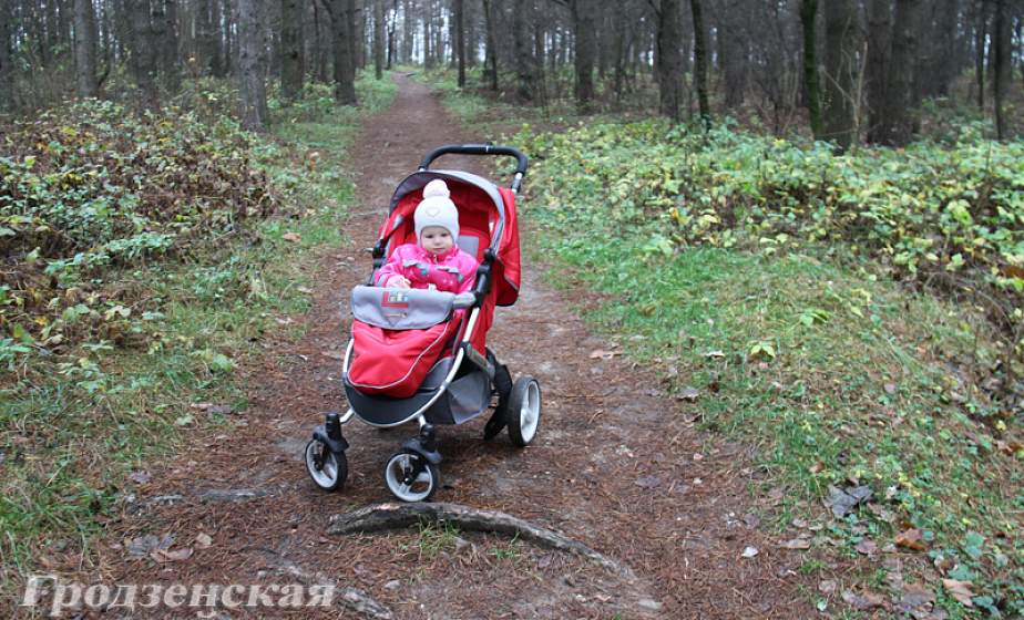 В спальных районах Гродно не хватает скверов. Где в ближайшее время появятся зеленые зоны