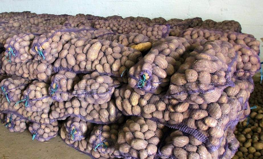 КГК Гродненской области выявил ряд нарушений при хранении сельхозпродукции в стабилизационных фондах
