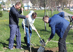 Озеленение, снос пустующих домов, опасные карьеры: наведение порядка на земле обсудили в облисполкоме