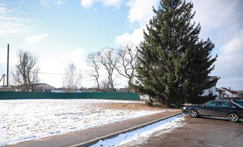 Как в деревне Делятичи по просьбе местной жительницы решают проблему аварийных деревьев на кладбище