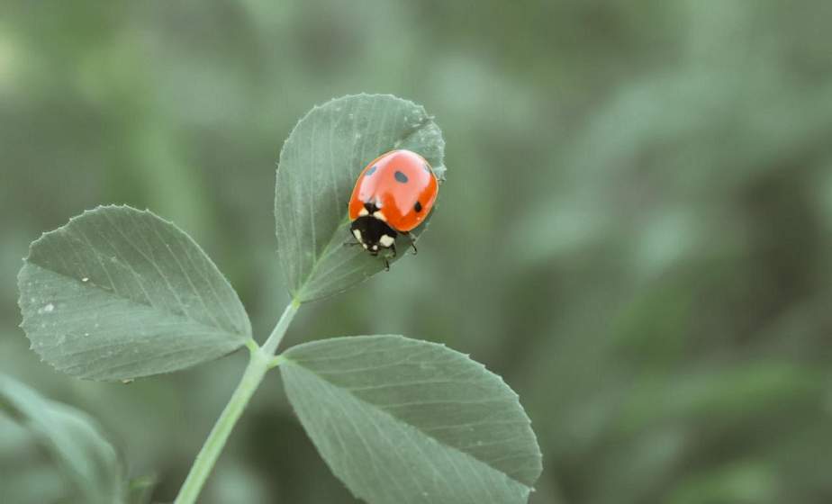 В выходные – до +15 градусов. В Гроднооблгидромете рассказали о погоде на неделю