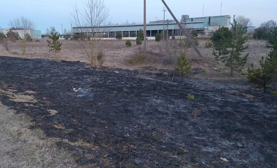 В Дятловском районе из-за брошенного окурка загорелась сухая трава, мужчина травмирован