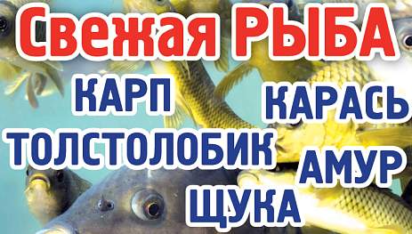 ИП ЗЛОТОВ А. В.