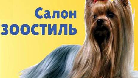 Салон зоостиль