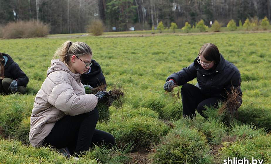 В Гродненской области к работе приступили первые студотряды 