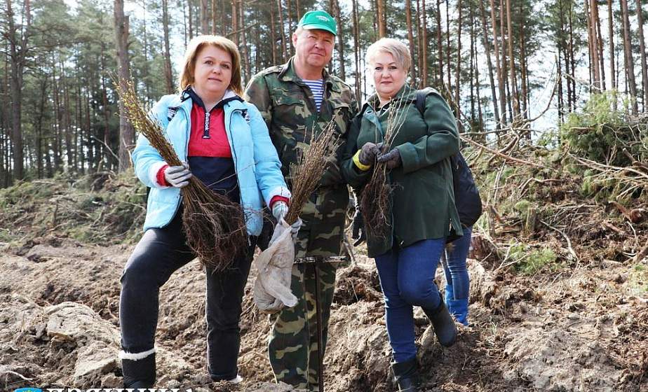 Фотофакт: на Гродненщине проходит республиканский субботник