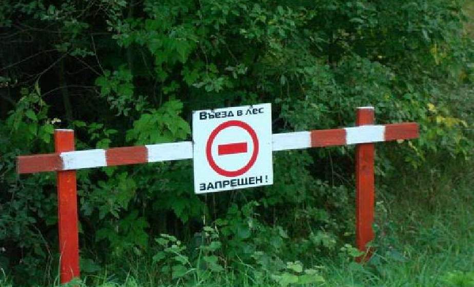 С понедельника в области введен временный запрет на посещение лесов (ОБНОВЛЕНО)