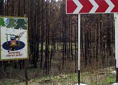 На Гродненщине класс пожарной безопасности понижен, но запрет на посещение леса еще не сняли