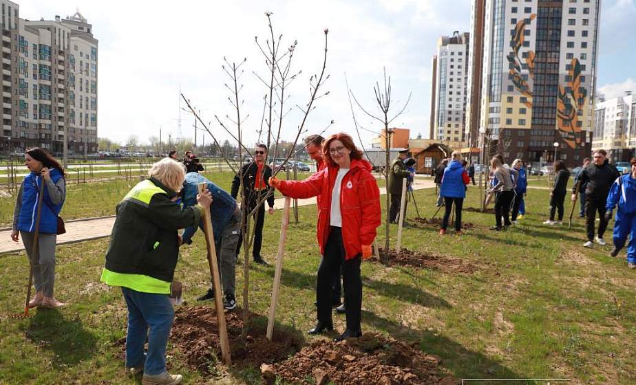 С начала года в Гродно высажено более 4 400 деревьев