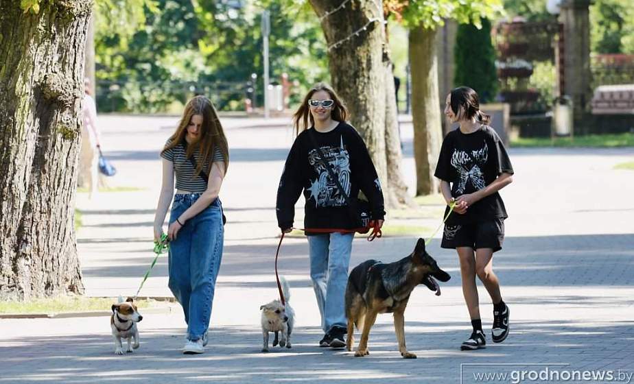Фотофакт: Летний день в парке Жилибера