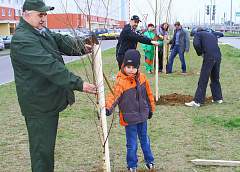 25 октября в Гродно пройдет городской субботник