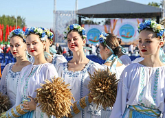 «Дажынкі» встречаем богатым урожаем. Рассказываем, с какими результатами Гродненщина подошла к главному празднику тружеников села