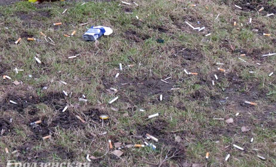 На одном квадратном метре около девятиэтажки по улице Поповича насчитали более 60 окурков
