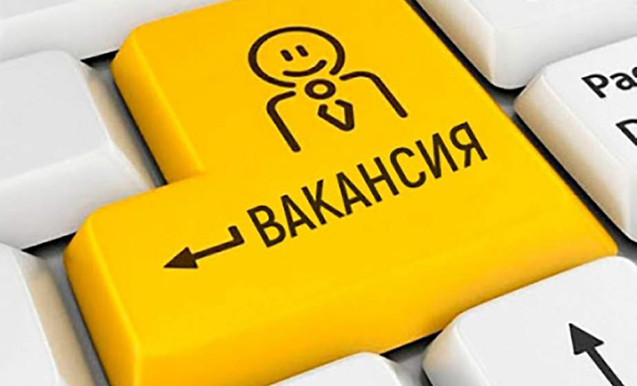 Более десятка электронных ярмарок вакансий пройдет 16 ноября в Беларуси