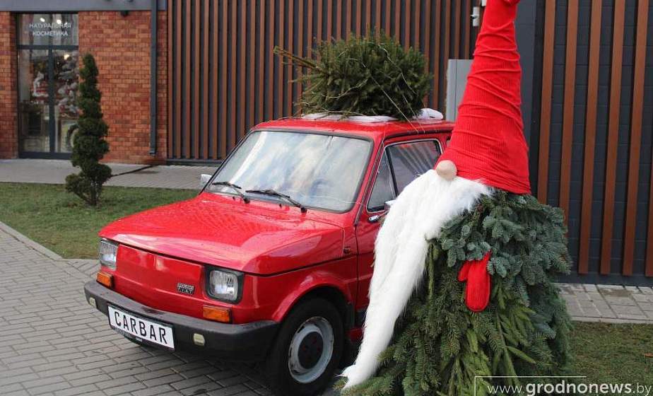 Как правильно утилизировать живую елку после Нового года. Рассказываем, когда коммунальные службы города организуют вывоз елей на переработку