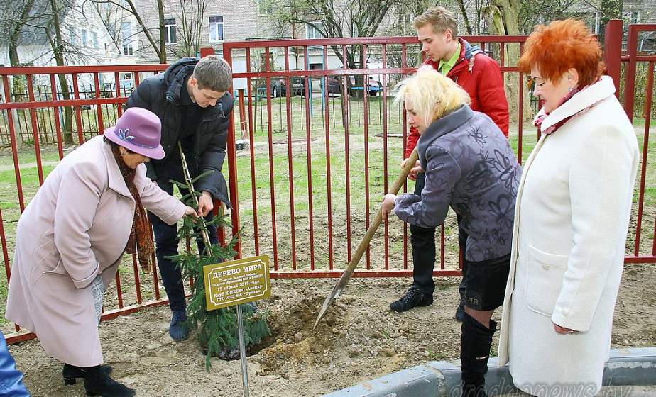 В средней школе № 8 города Гродно посадили Дерево мира