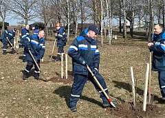 Чистый город – общее дело. В Гродно проходят мероприятия по санитарной уборке городских территорий