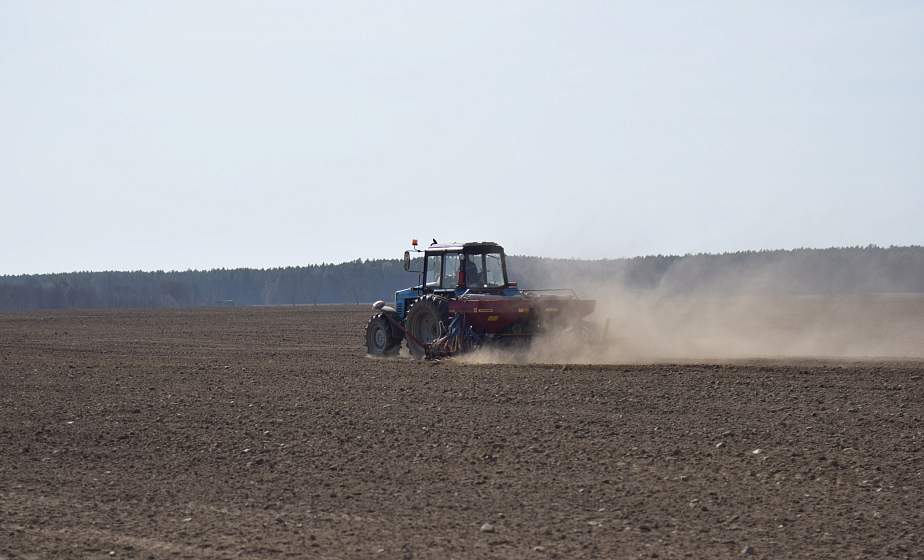 Задел на урожай. В Щучинском районе посевная в самом разгаре