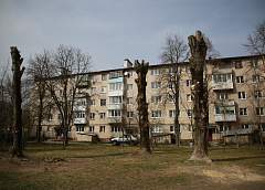 Тополя – «под ноль»? По просьбе читателя узнавали, зачем жилищно-коммунальные службы обрезают деревья весной