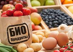 Легко ли в Гродно найти натуральные полезные продукты?