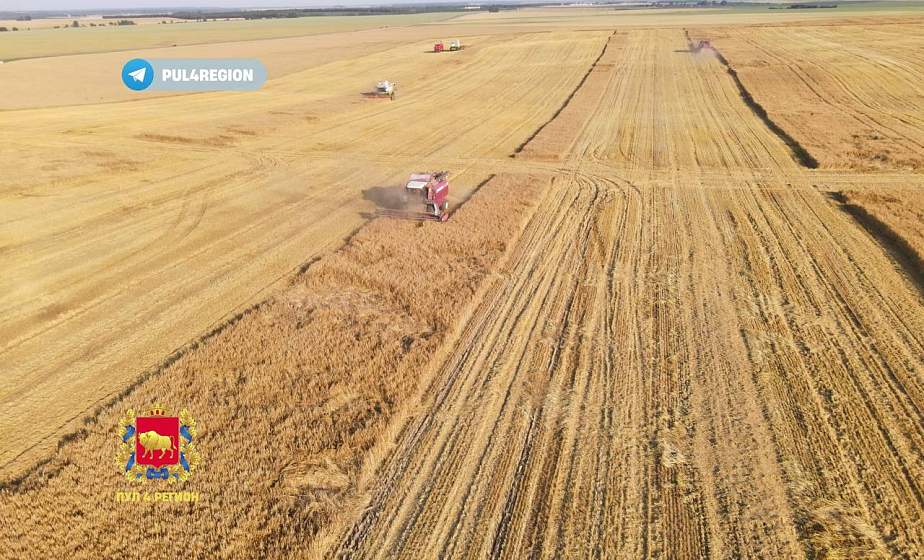 В Гродненской области завершается уборка озимого ячменя