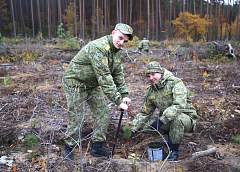 Гродненская погрангруппа присоединилась к акции «Дай лесу новае жыццё!»