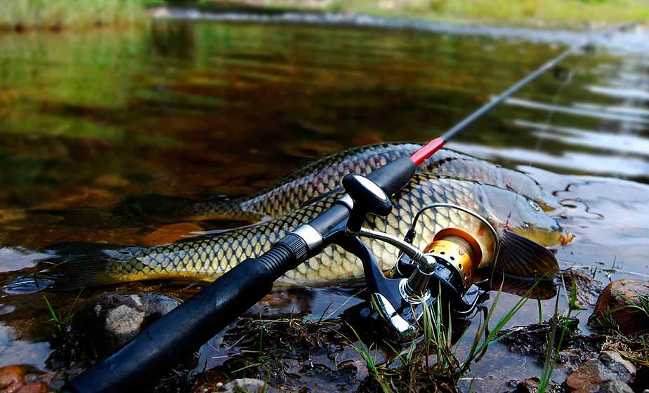 С 20 марта в Беларуси вводятся ограничения на любительское рыболовство