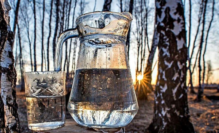 В Гродно началась продажа натурального березового сока