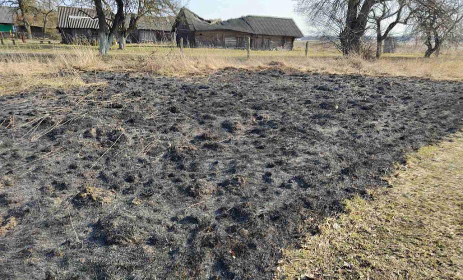 77 случаев загорания сухой травы зарегистрированы на выходных в Гродненской области