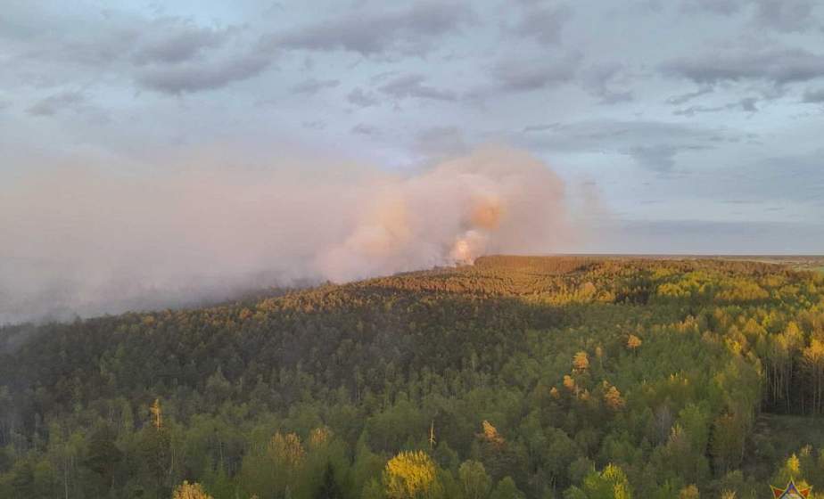 Лесной пожар в Вороновском районе ликвидирован