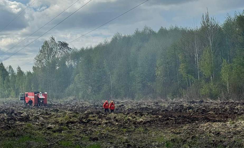 Вчера система мониторинга зафиксировала возгорание в лесном массиве Щучинского лесхоза