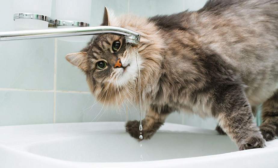 В Гродно перенесли сроки отключения горячей воды