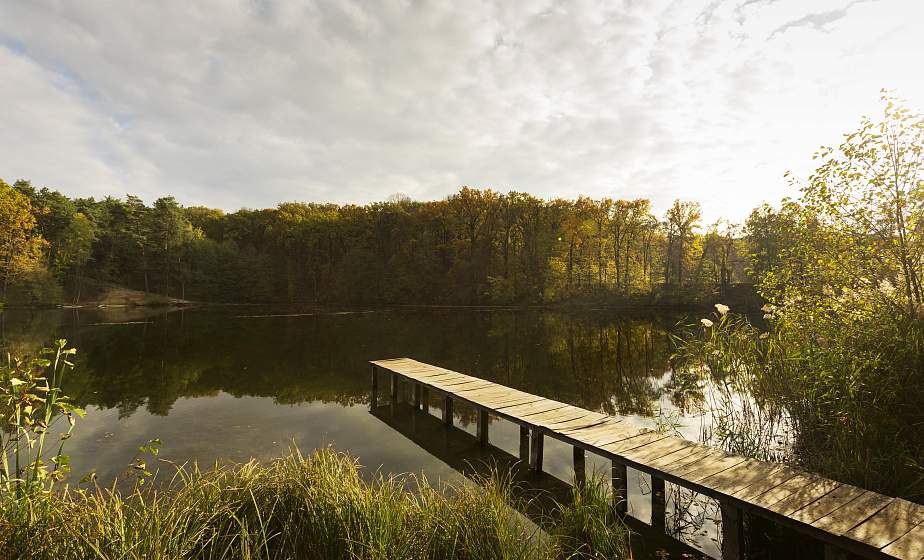 До +19°С ожидается в Беларуси 24 августа 