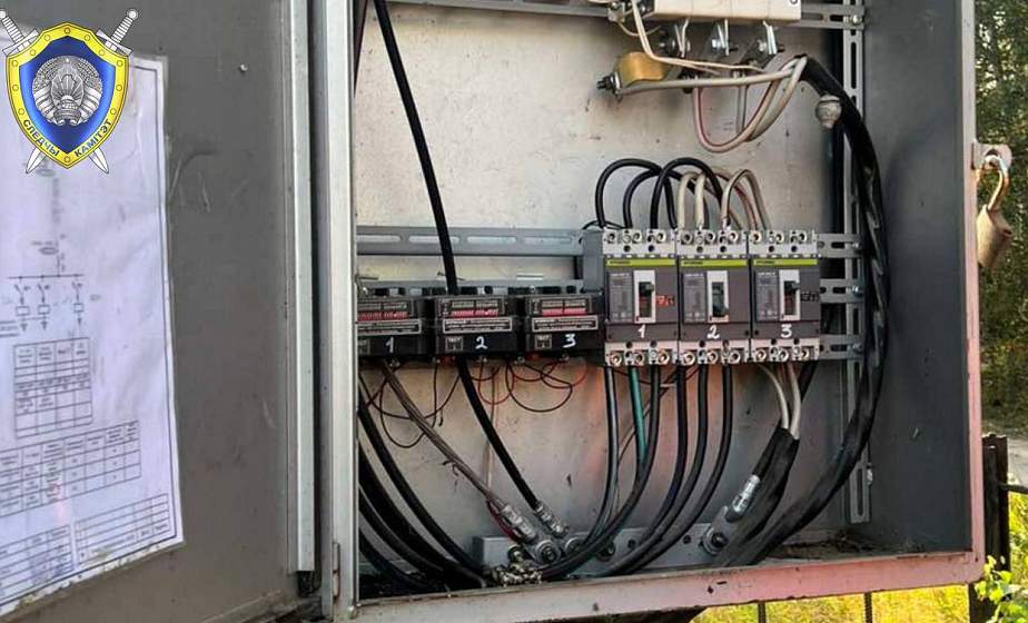 В Сморгонском районе электрик погиб из-за пренебрежения безопасностью