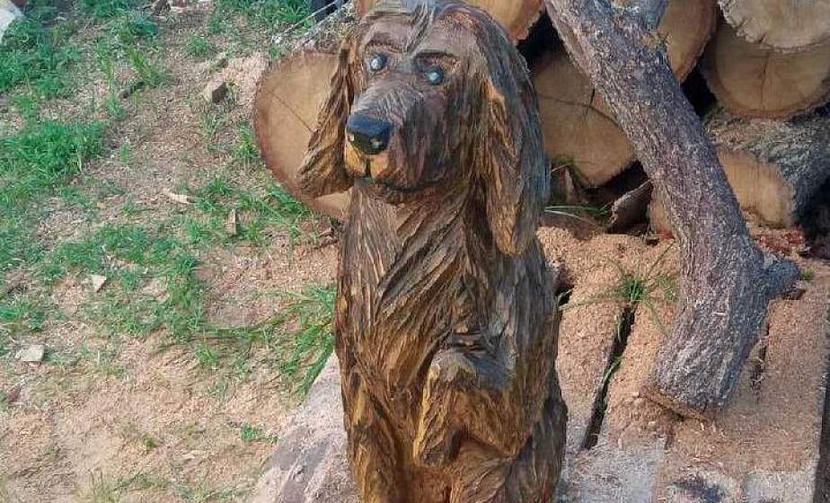 Плотник Островецкого опытного лесхоза Евгений Сенють создает уникальные изделия из дерева 