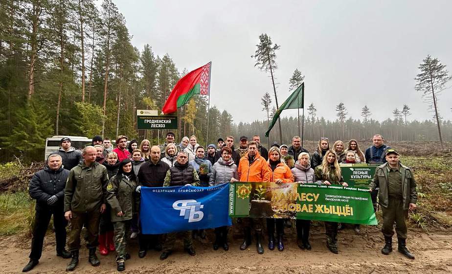 Профсоюзы Гродненщины высадили 10 тысяч сосен в рамках экологической эстафеты
