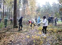 Гродно присоединился к республиканскому субботнику. Сотрудники горисполкома наводят порядок в Пышках