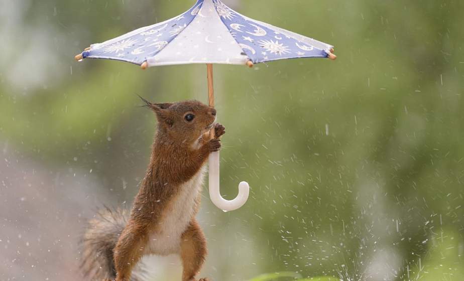 Небольшие дожди пройдут в Гродно 12 декабря